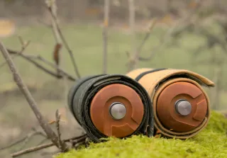 Two Rollgut lying on moss